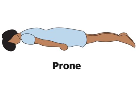 xxx prone com|prone videos .